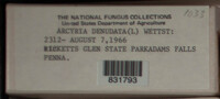 Image Associated With the Occurence